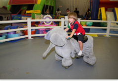 Zippy Rides Jumping Gym